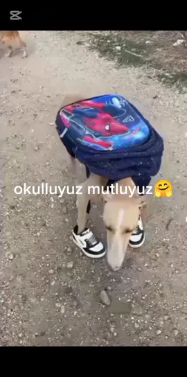 okulluyuz mutluyuz🤗