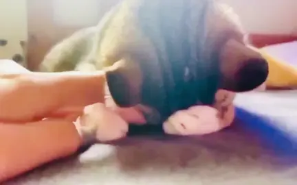 #محمد_عبد_الجبار #fyp 