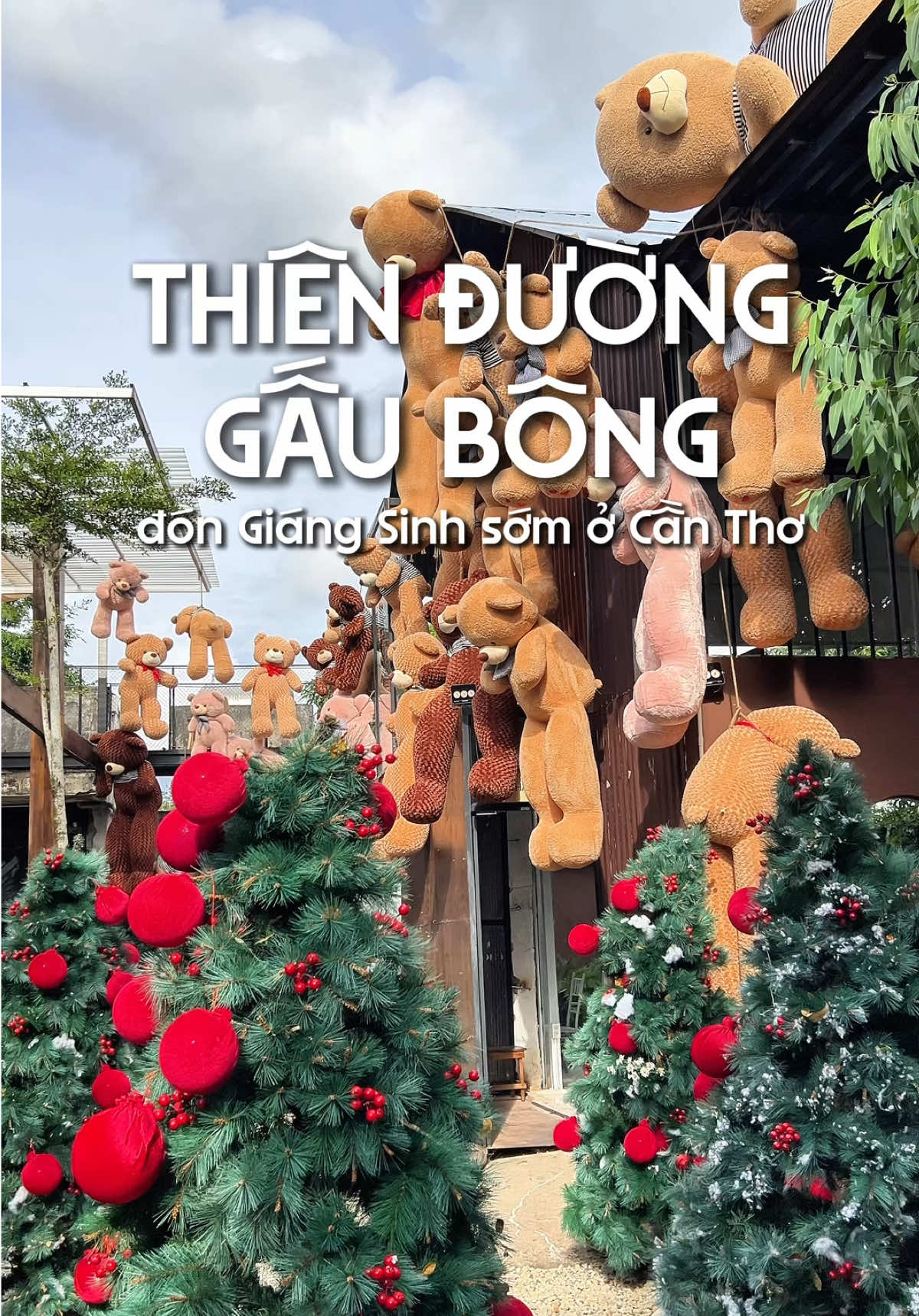 Checkin thiên đường gấu bông đón Giáng Sinh sớm ở Cần Thơ #langthangcantho #cafecantho #nhaphamtrongrung #65cantho #caphenhapham 