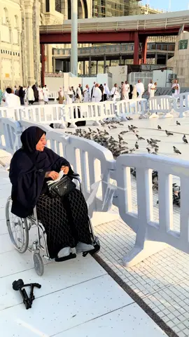 مفيش أجمل من اللحظة دي 🙏🏼 عمرة مع أمي، و دعوة منها تفتح للدنيا أبواب الرحمة 💫 اللهم احفظها ليا و متحرمنيش من وجودها ولا من دعواتها 🤍 #الحرم_المكي #العمرة #امي_جنة #دعوة_الام #اللهم_احفظ_امي 