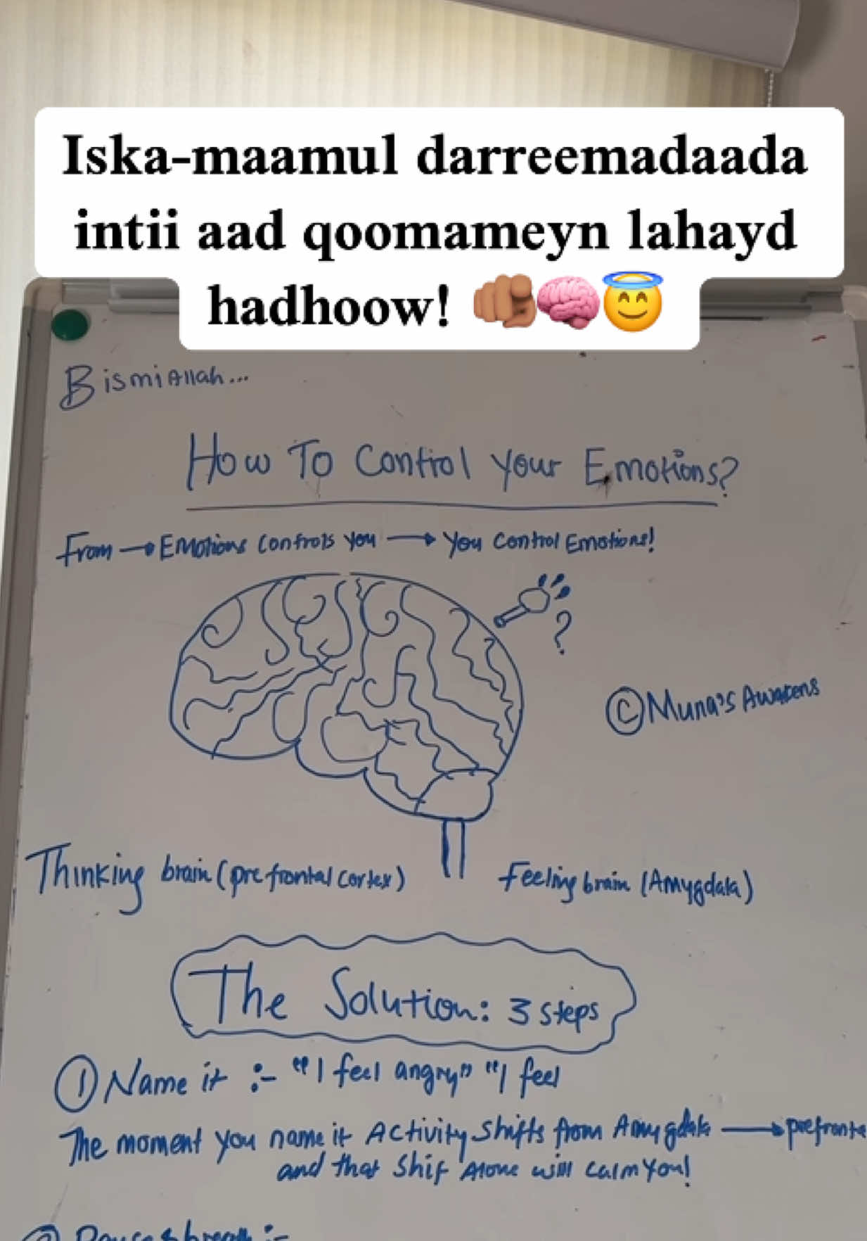 Darreemadeenu waa signals iyo farriin u baahan inaynu fahamno, se mahan wax ay tahay inaynu ku go’aan qaadano. Inta aadan ku go’aan qaadan xilligaa waxa aad darreemayso, ee aanay taasina hadhoow kugu keenin inaad qoomameyso, isku day inaad qaybta maskaxdaada ee prefrontal cortex aad activate gareysato adigoo saddexdaa talaabo qaadaya si aad uga fikirto maxaa hadhoow kaaga iman doona! 🫵🏽🫡🧠😇 #munasawakens #dibudhiskanoloshaada #somalitiktok #munasawakensclass #munaswhiteboard 