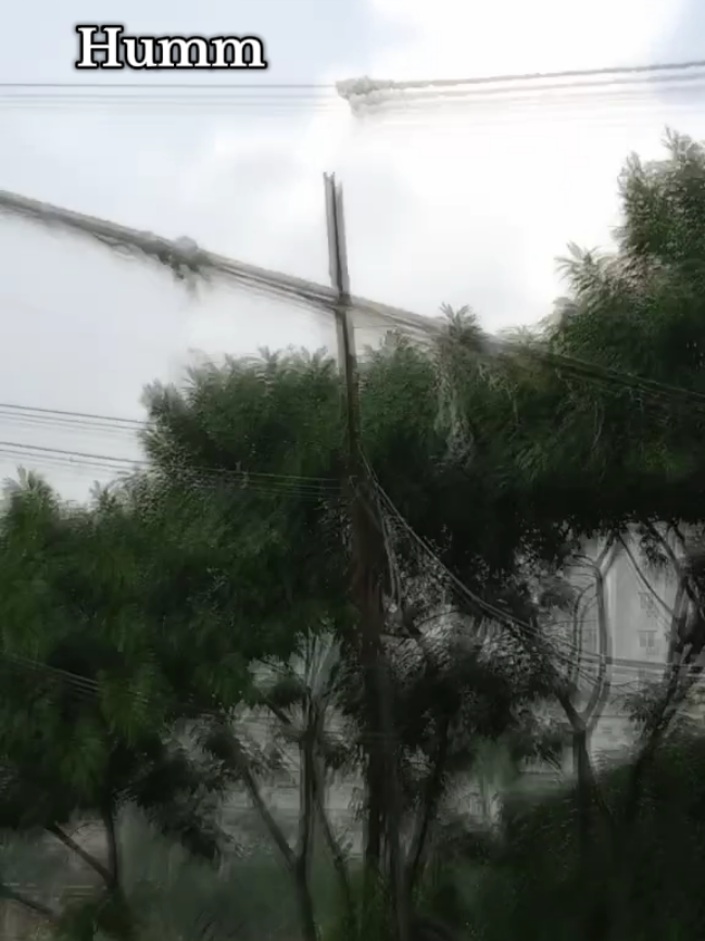 Viral  #shopon7878  10k view 