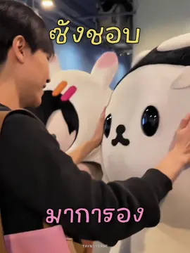 เมต้าซังมาเเล้ว 🐰🐳 เเล้วซังโม่ โม่ซังจะได้รักกันกี่โมง ❔❓ #POLCASAN ┆#JUMMO ┆#METAA #JuniorMark #TayNew 