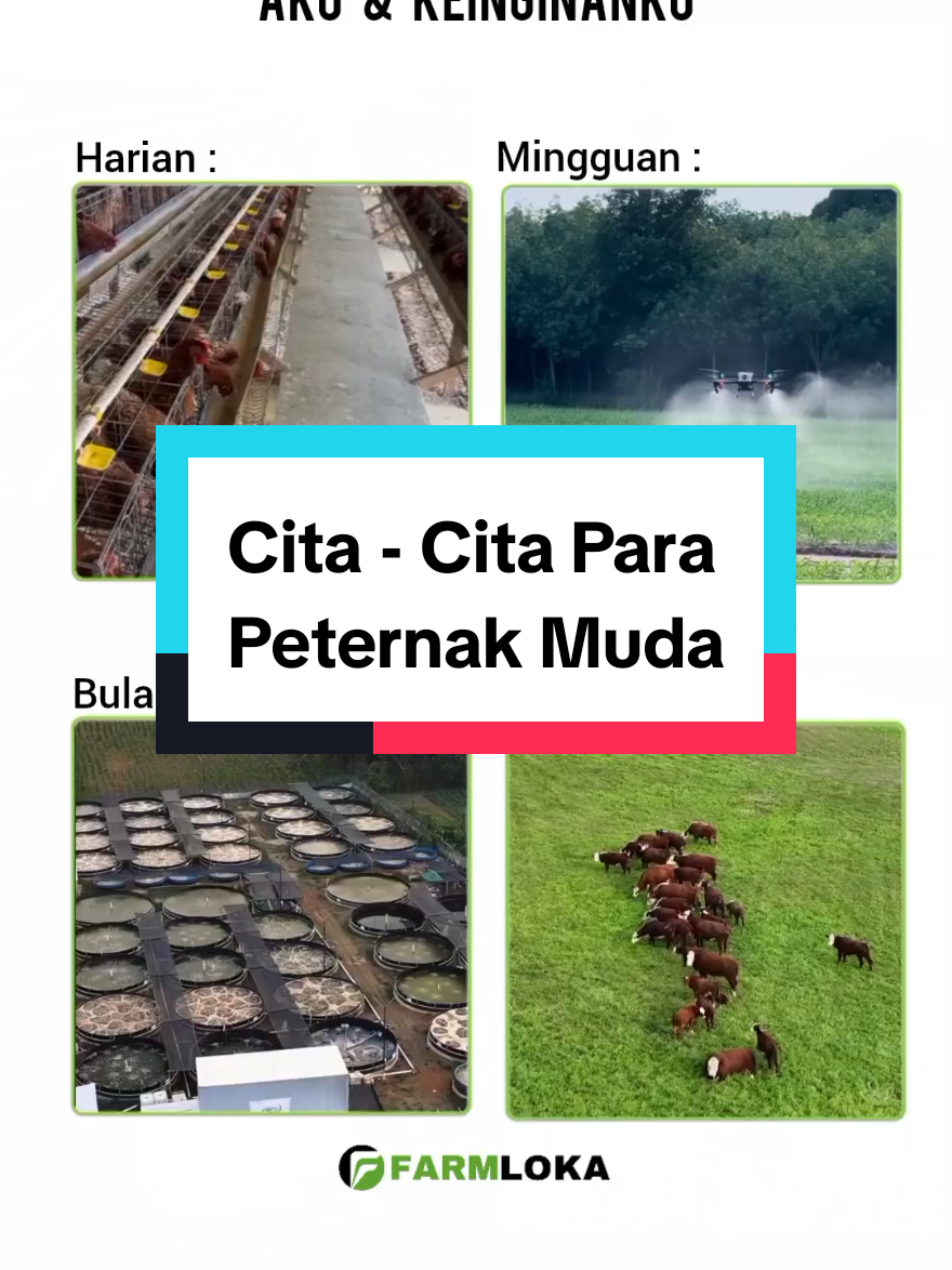 Kasih Menyala 🔥🔥 ... Sistem peternakan pintar berbasis teknologi modern adalah sistem peternakan yang mengadopsi smart system, otomatisasi, dan teknologi Internet of Things (IoT) atau Artificial Intelligence (AI) untuk mengoptimalkan kondisi kandang, pemberian pakan, pemantauan kesehatan, dan efisiensi operasional. Teknologi ini mencakup manajemen peternakan digital, sensor suhu dan kelembapan, sistem ventilasi otomatis, pemberian pakan dan air otomatis, serta aplikasi smartphone untuk pemantauan jarak jauh, yang pada akhirnya meningkatkan produktivitas, kualitas hasil ternak, dan mengurangi biaya operasional. .. Dengan memadukan Teknologi ini pada Peternak dan Pembudidaya diharapkan dapat membantu dalam pengefektifan dan efisiensi para peternak dalam melihat dan mengecek ternaknya agar menghasilkan keuntungan yang maksimal. Follow dan ikuti terus @farmloka agar mendapatkan informasi aktual seputar budidaya peternakan dan perikanan modern berbasis Teknologi. Jangan lupa Bagikan ke teman & keluarga sobat ya !! .. .. .. .. . 📍@fe16aquaculture @Rizkyyynmas_🐔  #peternakan #pertanian #perikanan #budidaya #peternakanmodern 