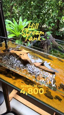 ตู้ลำธาร 30*80*20 cm > 4,800฿            > ตู้ + ขา + กรอง (เพิ่มไฟ + 600฿) #ตู้ปลา #ตู้ลําธาร #หาดใหญ่ #relax #ธรรมชาติบําบัด 