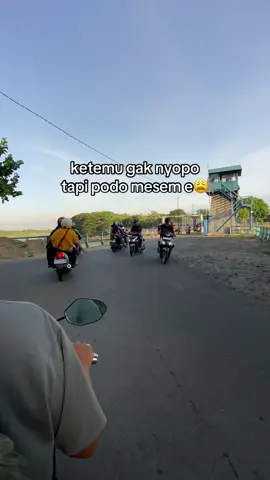 gejala opo iku😭#fyp #berandatiktok #mojokerto24jam #rollak9mojokerto 