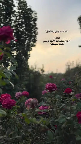 #ارض_الزهور_سبت_العلايا 