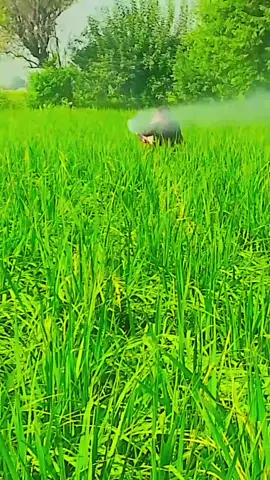 #foryoupage #kisan 