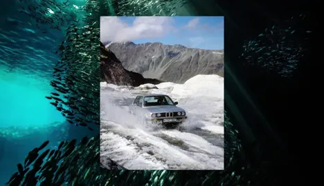 Druk (Another Round)    #druk #madsmikkelsen #anotherround #moodboarx #targetaudience