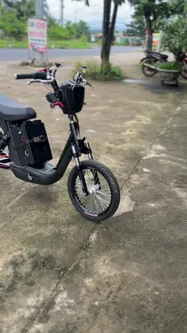 đi xe điện đen coi chừng bị đen#xuhuong #fyp #pega #kiểng