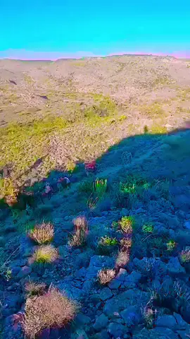 #CapCut #puntlander🇸🇱 #rabihakunaxaristohoyo🤲😭 #majeertee#majerteen🇸🇱❤️🤲 