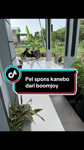 Rekomendasi alat pel lantai granit pel spons premium boomjoy, daya serap maksimal tekstur lembut tidak menggores lantai, langsung kering #pelapons #alatpelboomjoy #alatpel #pelgranit 