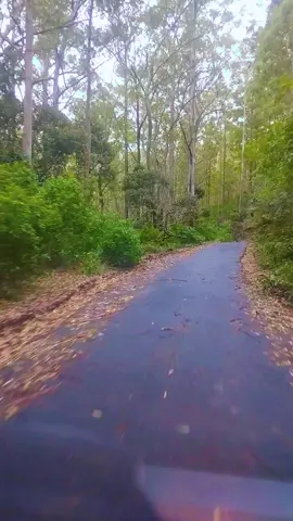 #vanlife #slvanclub #fypシ #srilanka #trending #naturevibes #traveltiktok @𝗡𝗜𝗥𝗨💗👻 @🐅🐅@Black Hunte🐆🐆 