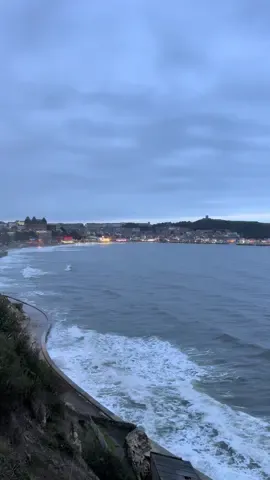 #scarbourghuk #scarbourgh #york #kurdishscarbough 