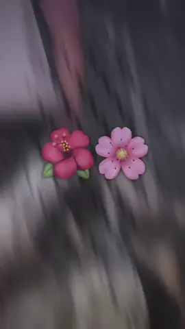 #الحب❤️ #حبيبتي_وروحي🤍💕🤍 