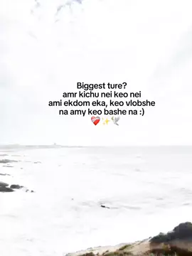 Biggest true?❤️‍🩹✨🕊️ #viralvideo #whois_arafat? #growmyaccount #unfrzeemyaccount #bangladesh🇧🇩 