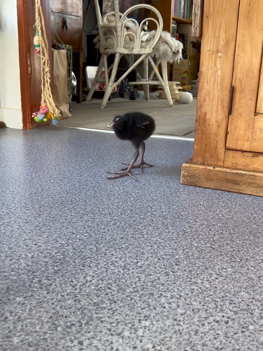 Charcoal grows stronger every day