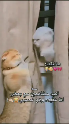 #😂😂😂 #منشن_شخص_تبي_يشوف_المقطع #explore #fyp #اكسبللورر 