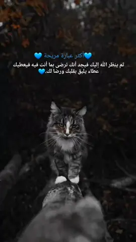 #اكسبلور #عبارات #صعدو_الفيديو #تصميم_فيديوهات🎶🎤🎬 @TikTok LIVE MENA تابعوني فدوه