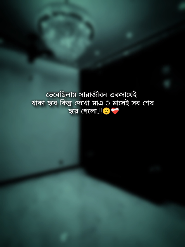 💫💫#বাংলা #স্ট্যাটাস #foryou #foryoupage #trendingsong 