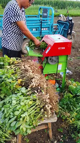 Máy bứt lạc tách củ #thapxanh #hieuthapxanh #maythapxanh 
