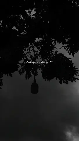 #motminhcoonkhong #saungaychiatay #bannhacbuonbb #bbo 