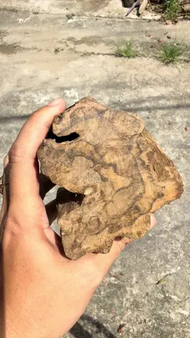 Phôi VIP Banh đỏ cam #banhdocam #tramhuongcaocap #tramhuong 