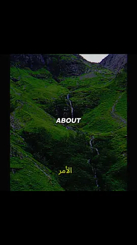 Gratitude #islam #reminder #islamicvideo #fyp 