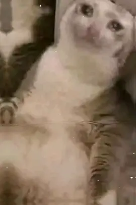 #تصميمي#وهيكاا🥲🖇#فيديو_بمناسبة_الملل😑😑#فيديوهات_ضحك_وهبل#