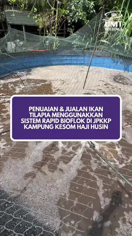 Sekitar Aktiviti Penuaian dan Pemasaran Ikan Tilapia Merah Sejati Madani melalui Teknologi Rapid Biofloc UMT di JPKKP Kg Kesom Hj Husin, Kuala Nerus, Terengganu #fyp #ikantilapia #bioflok #umtholdings