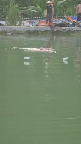 nổ heo 1 tạ 8 vợt ko nổi 🤣🤣 #câucagiaitri  #fishing 
