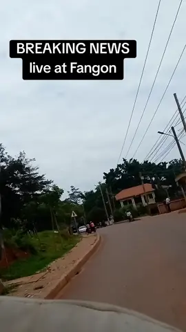 #alienskinug 