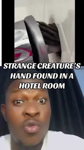 Strange creature’s hand found in a hotel room #fyp #viral #foryoupage❤️❤️ #goviral #tik_tok 