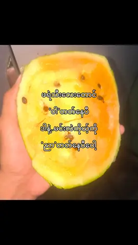 ညာတတ်နေပီပေါ့ #fyp #foryou #hamburger_2k9 