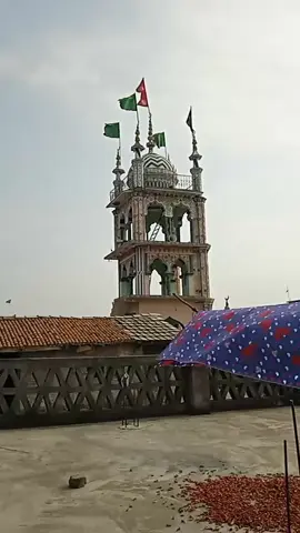 #creatorsearchinsights #viral #foryou #CapCut 