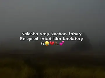 iska qosol 😂#soomaali_tiktok🇸🇴🇸🇴 #fyppppppppppppppppppppppp #capcut 