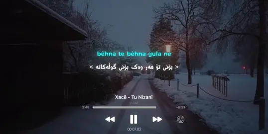 Tu Nizanî🤎#foryouuuuuuuu #foryoupage #goranikurdi #v1x5k9 #actives? 
