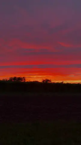 Atardecer rosa #atardecer #sunset #views #sunsetlover #fypage 