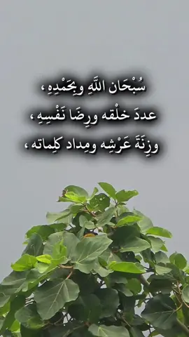 #سبحان_الله_والحمدلله_ولا_إله_إلا_الله_والله_اكبر #استغفرالله_العظيم_واتوب_اليه #اكسبلور #تيك_توك #اذكار_الصباح_والمساء 