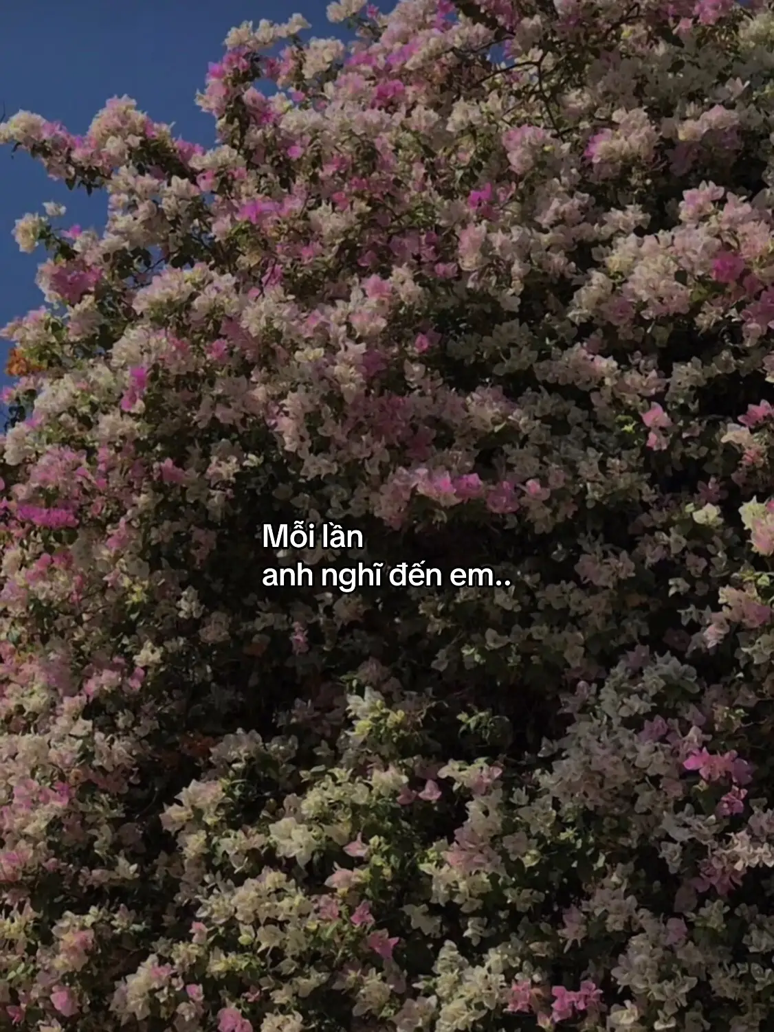 Em luôn là người dịu dàng nhất #story #tamtrang #tinhyeu #xhtik 