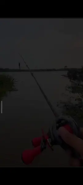bunyi merisaukan 😜#bcreel #strike #takkumpaw🤪🎣 #fyppppppppppppppppppppppp #viralvideo 