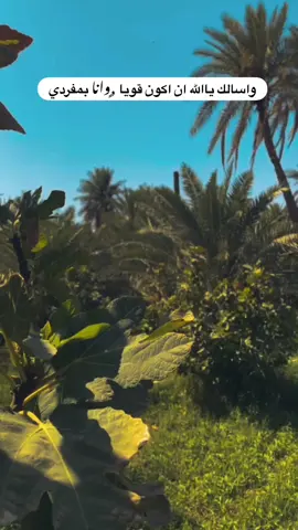 #تصويري_احترافي_الاجواء👌🏻🕊😴 #تصويري📸 #قناتي_تليجرام_بالبايو🦋 #لايك_متابعه_اكسبلور_لو_عجبكم #fyp 