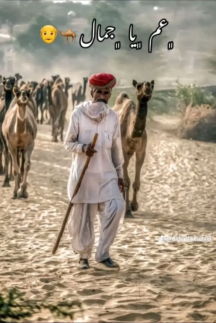 #ตามจังหวะ 