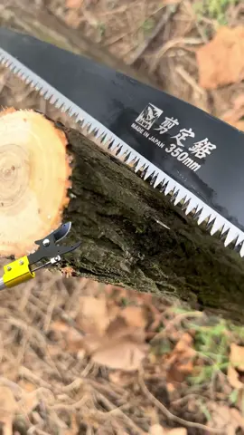 Penjagaan pokok jadi lebih mudah dengan gunting ini - diskaun 70%