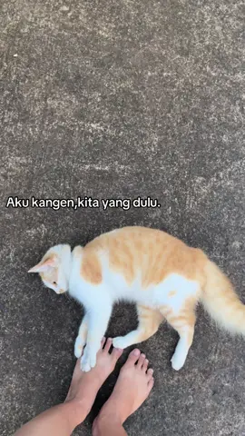 #fyppppppppppppppppppppppp 