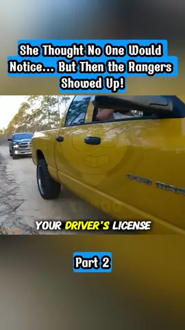 #fyp #foryou #police #cops #bodycam 