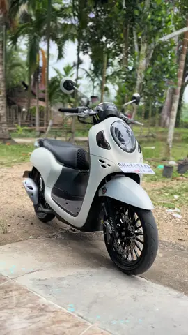 🤩🤩 #fyp #viraltiktok #platbm_official🏁 