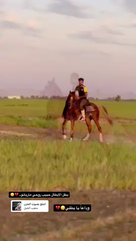 #وداعاً #ماريانو #ماريانو_والخيال_اركان_ابن_القيسي #😭💔 #💔 