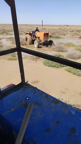 #شعب_الصيني_ماله_حل😂😂 