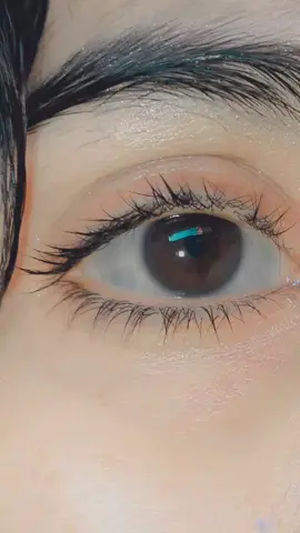 #🖤 